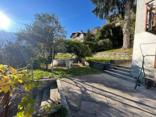 immagine annuncio 7 di 14