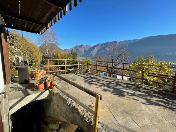 immagine annuncio 5 di 14