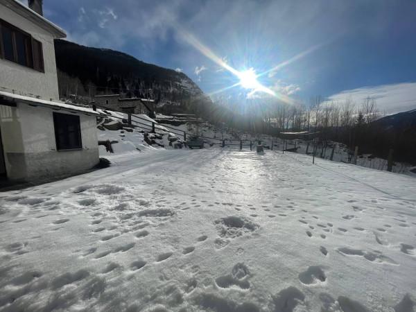 immagine annuncio 3 di 14