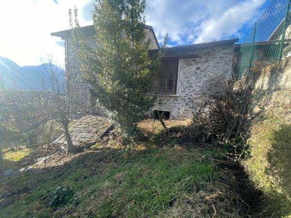 immagine annuncio 8 di 11