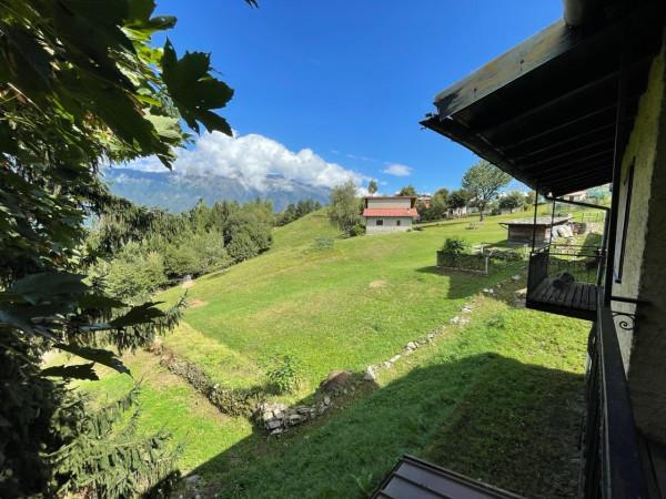 immagine annuncio 4 di 13