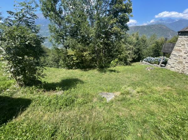 immagine annuncio 5 di 6