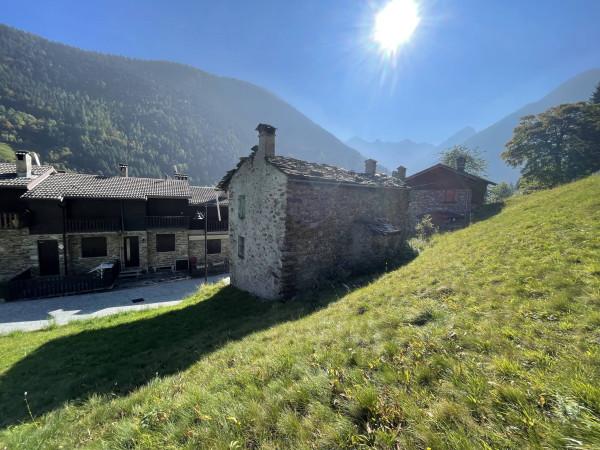 immagine annuncio 2 di 4