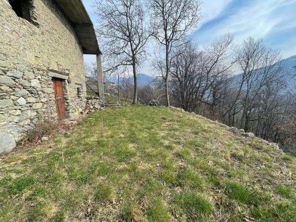 immagine annuncio 3 di 14