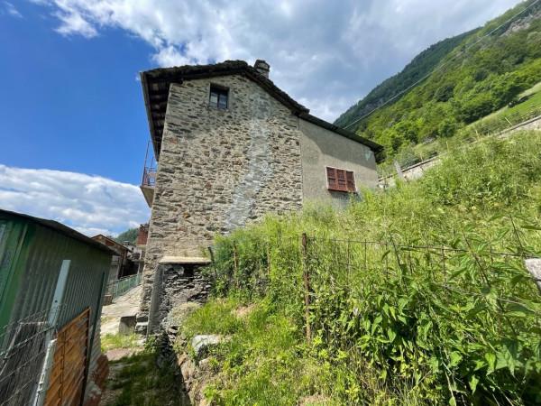 immagine annuncio 2 di 8