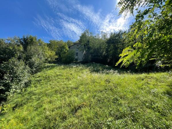 immagine annuncio 4 di 6