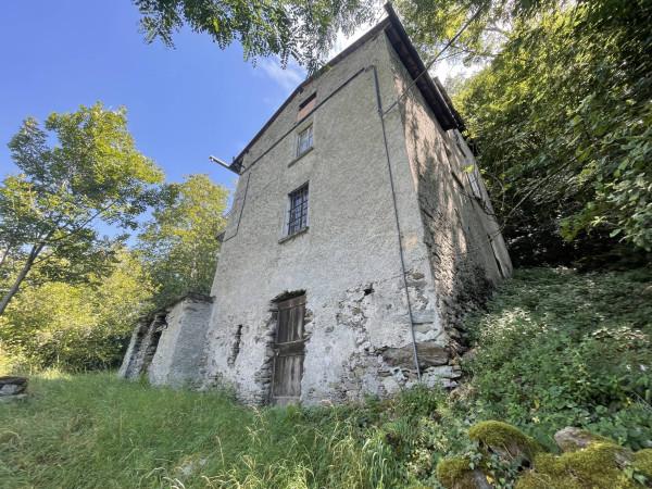 immagine annuncio 1 di 6