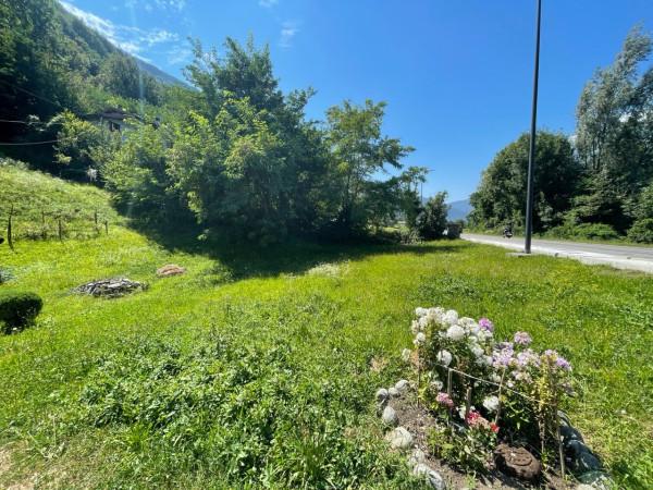 immagine annuncio 5 di 6