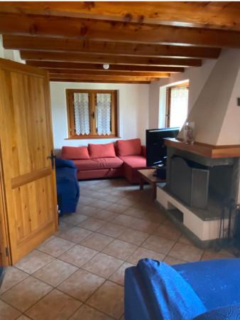 immagine annuncio 5 di 13