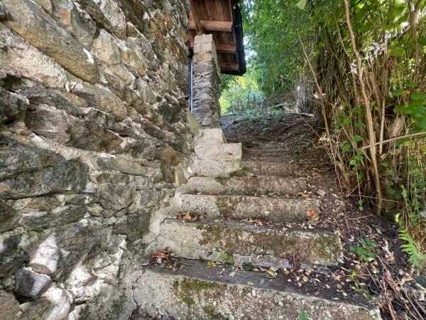 immagine annuncio 3 di 4