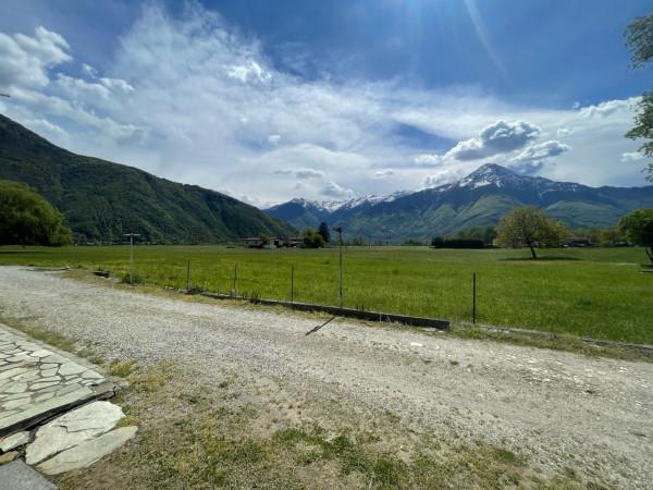 immagine annuncio 5 di 14