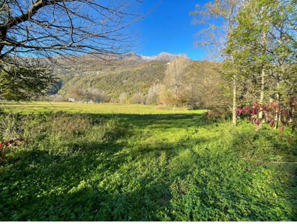 immagine annuncio 1 di 2