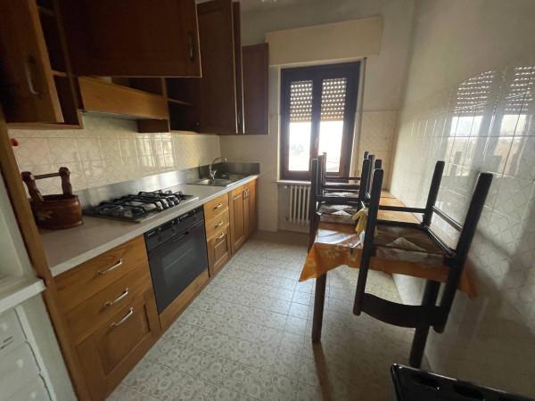 immagine annuncio 6 di 14