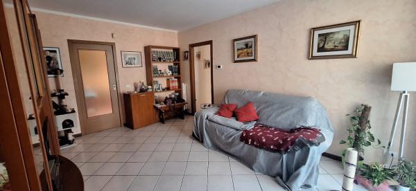 immagine annuncio 5 di 12