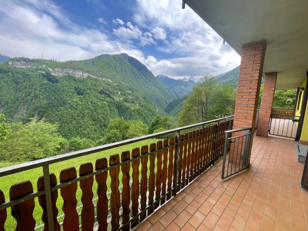 immagine annuncio 4 di 13