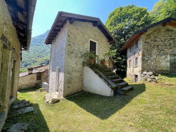 immagine annuncio 2 di 13