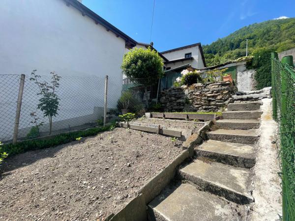 immagine annuncio 2 di 12