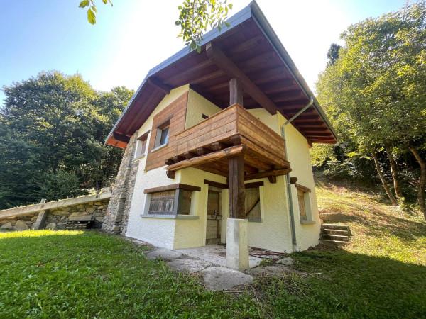 immagine annuncio 4 di 8