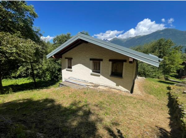 immagine annuncio 6 di 8