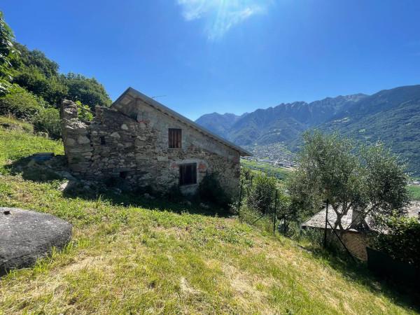 immagine annuncio 3 di 14