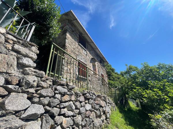 immagine annuncio 2 di 14