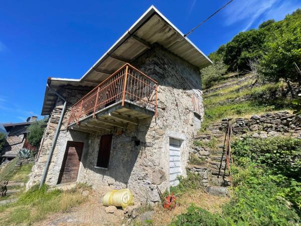 immagine annuncio 1 di 14