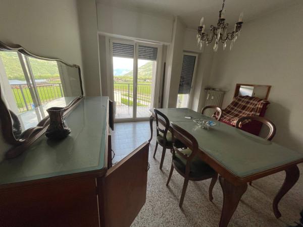 immagine annuncio 7 di 14