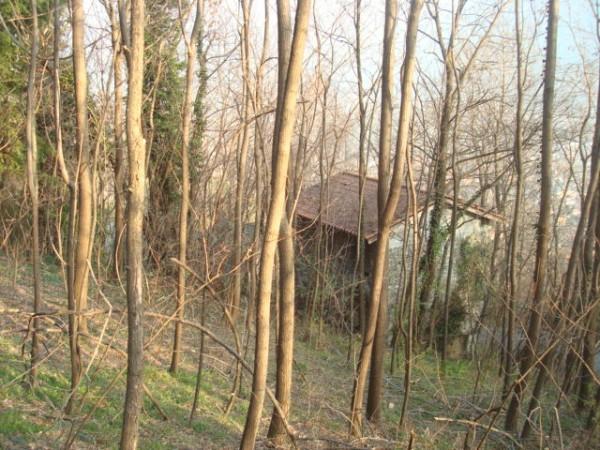 immagine annuncio 3 di 4