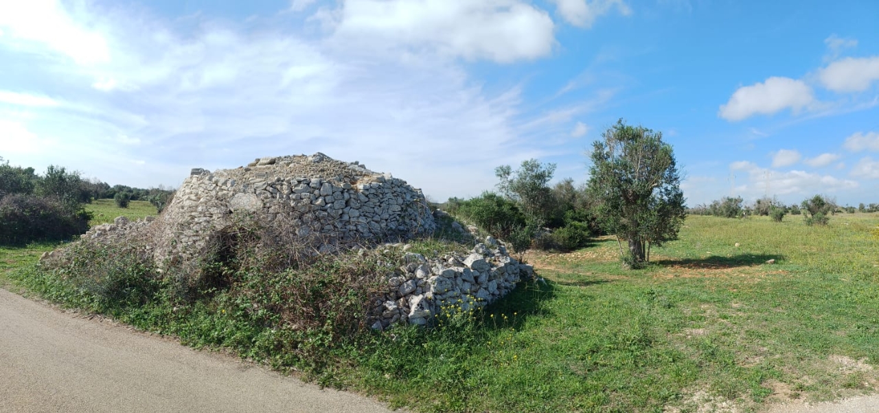 immagine annuncio 1 di 8