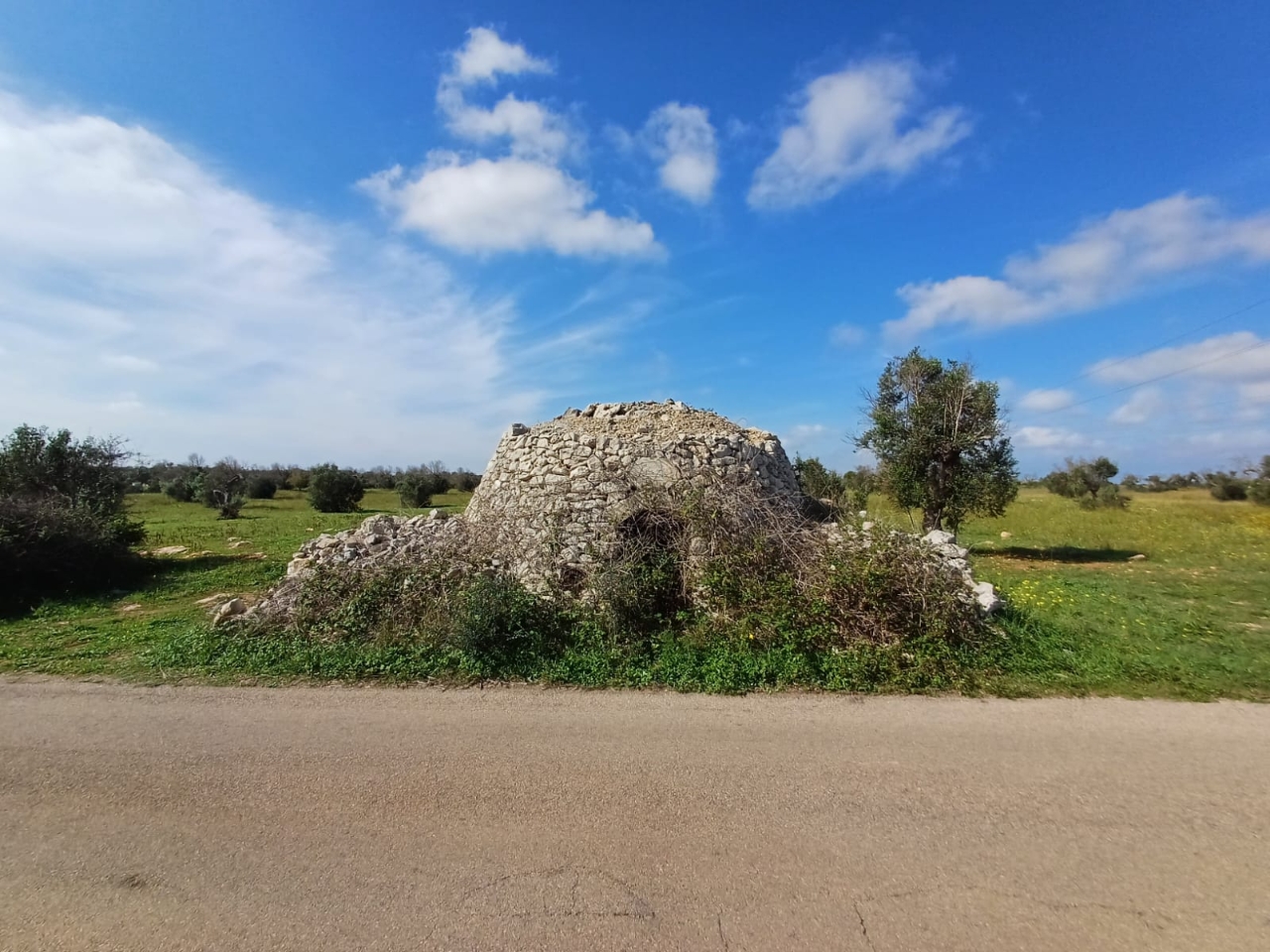 immagine annuncio 2 di 8