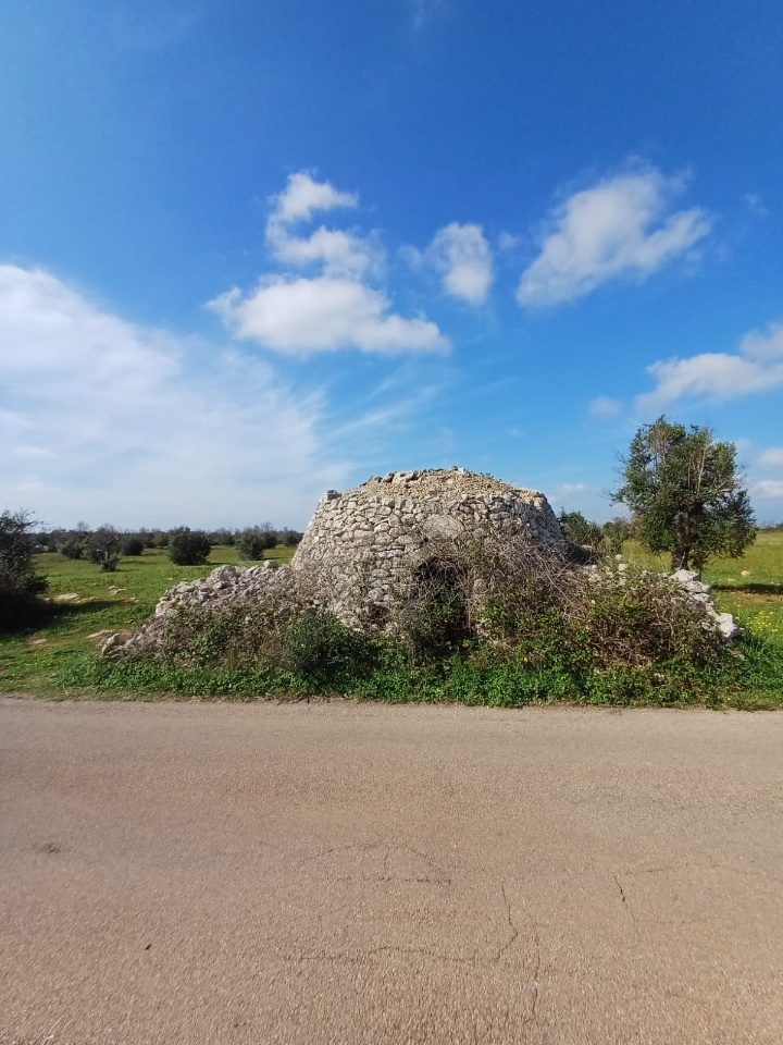 immagine annuncio 3 di 8