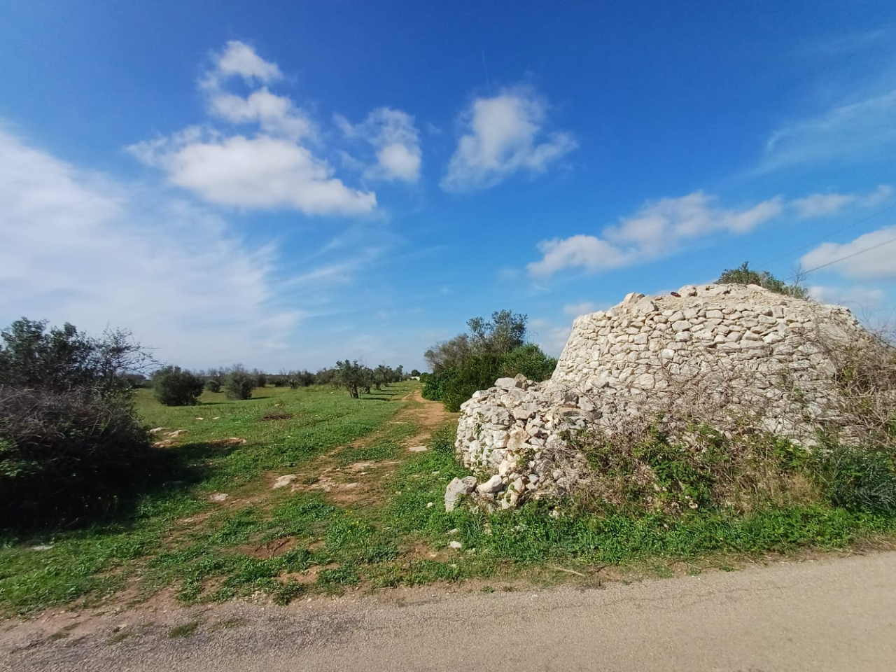 immagine annuncio 4 di 8