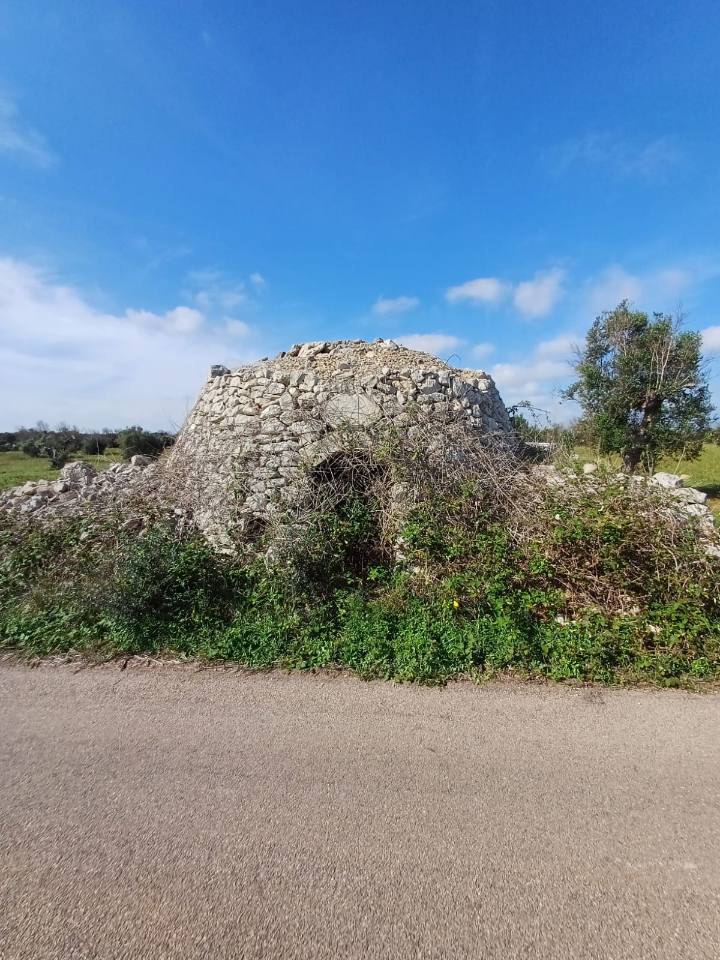 immagine annuncio 6 di 8