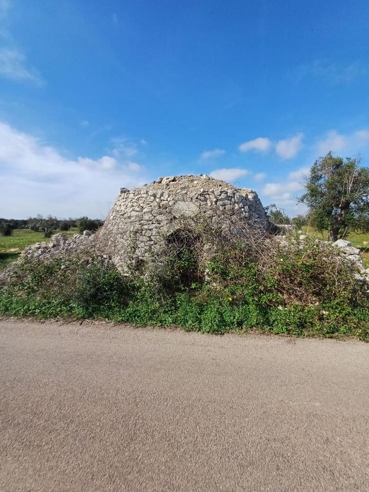 immagine annuncio 5 di 8