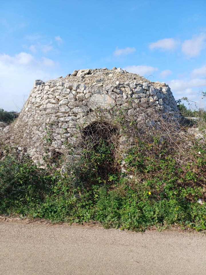 immagine annuncio 7 di 8