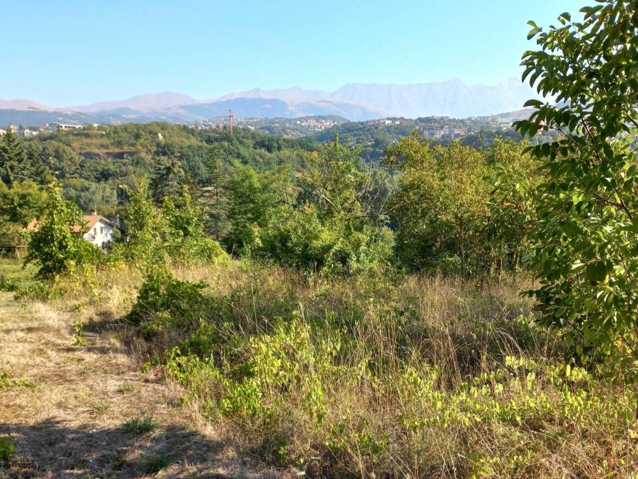 immagine annuncio 9 di 12