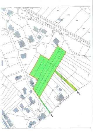 immagine annuncio 3 di 12