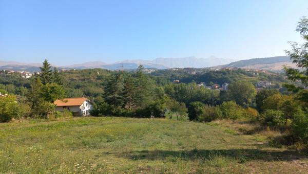 immagine annuncio 11 di 12