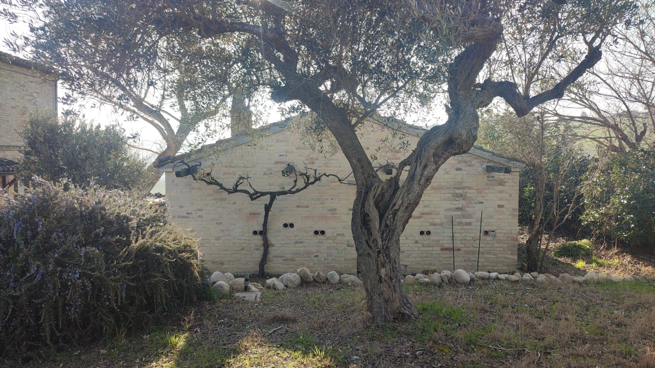 immagine annuncio 6 di 15