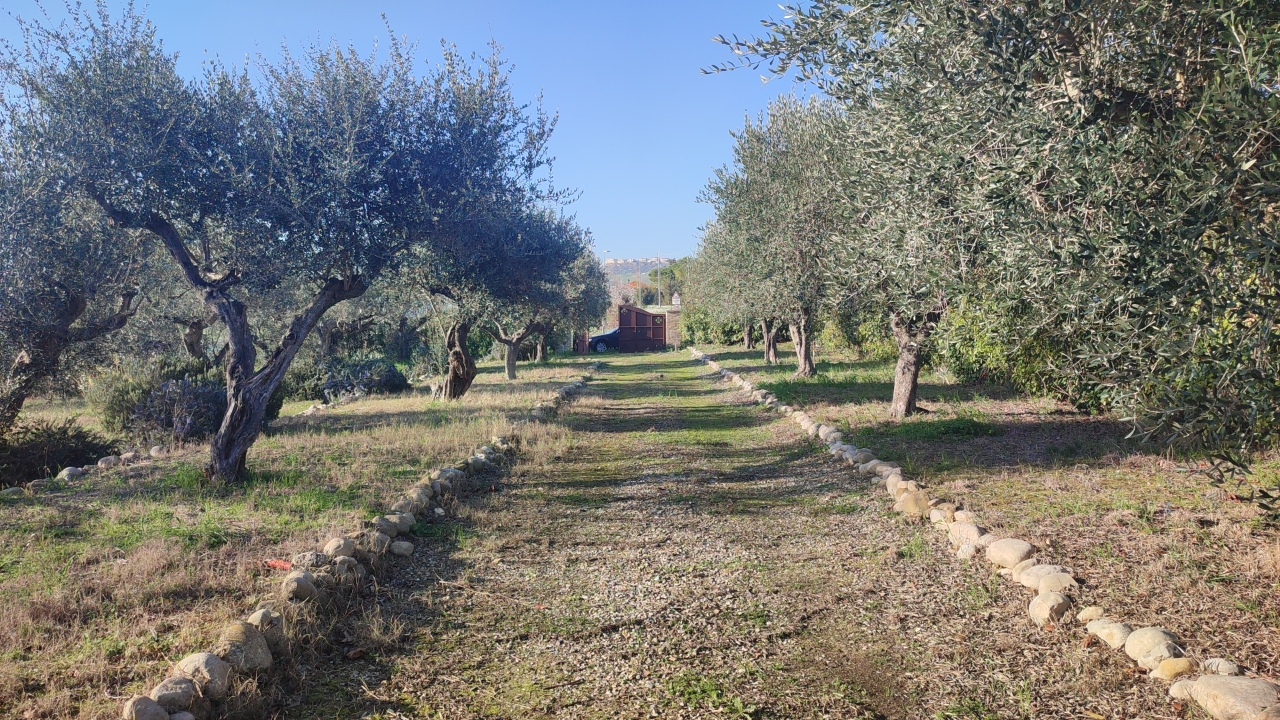 immagine annuncio 7 di 15