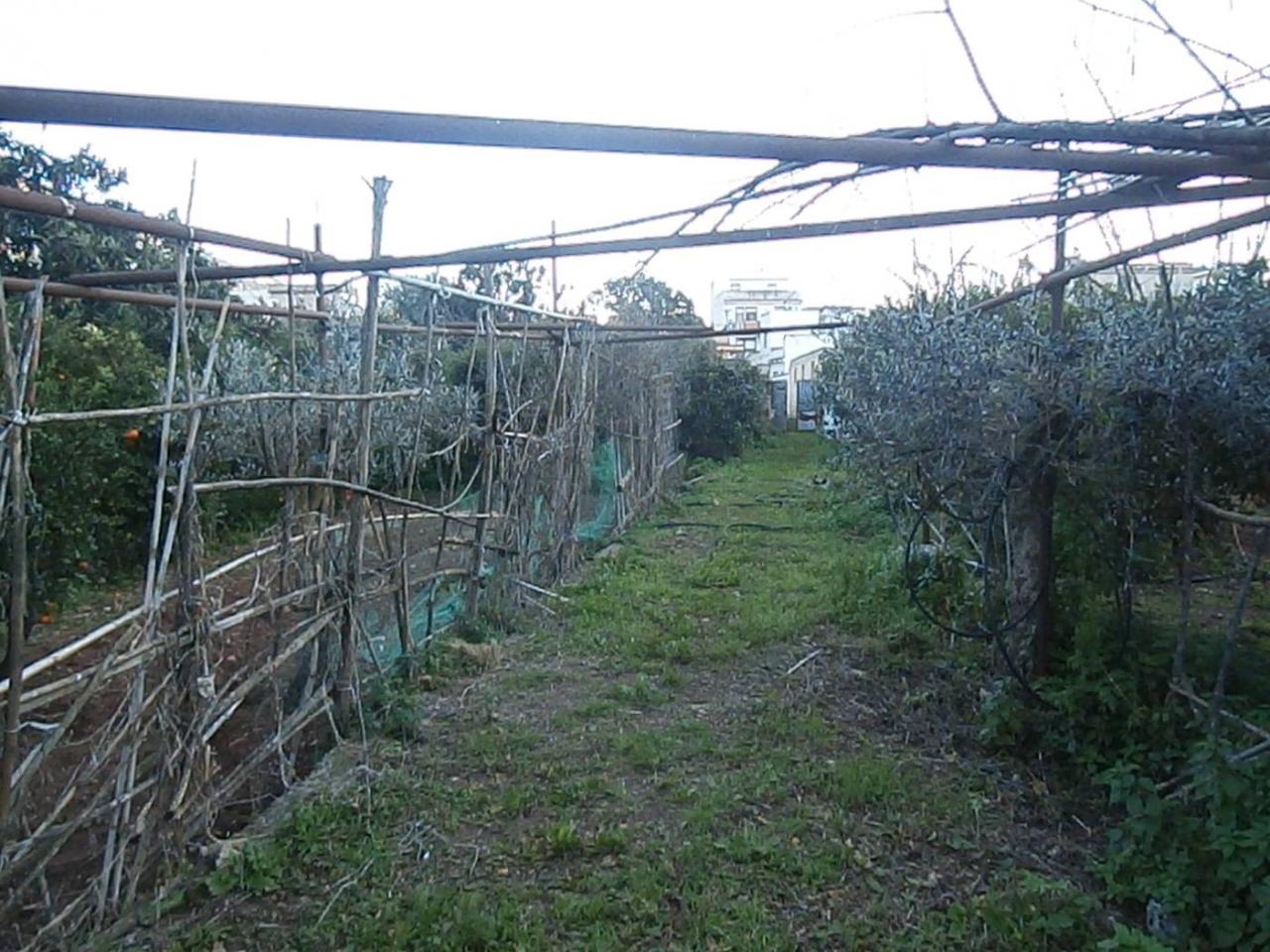 immagine annuncio 4 di 6