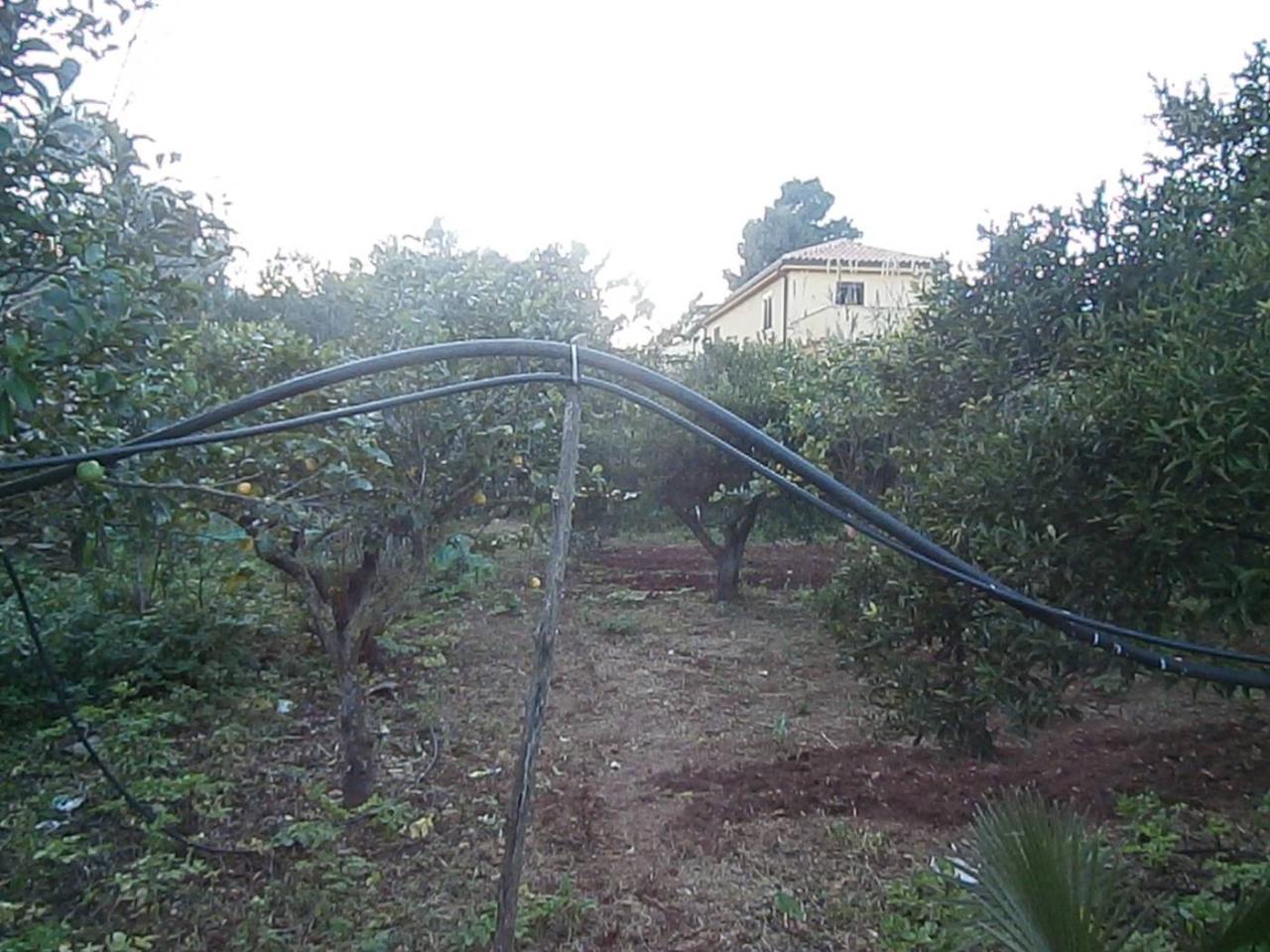 immagine annuncio 5 di 6