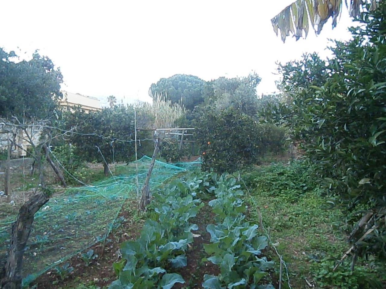 immagine annuncio 2 di 6