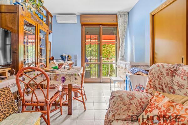 immagine annuncio 3 di 12