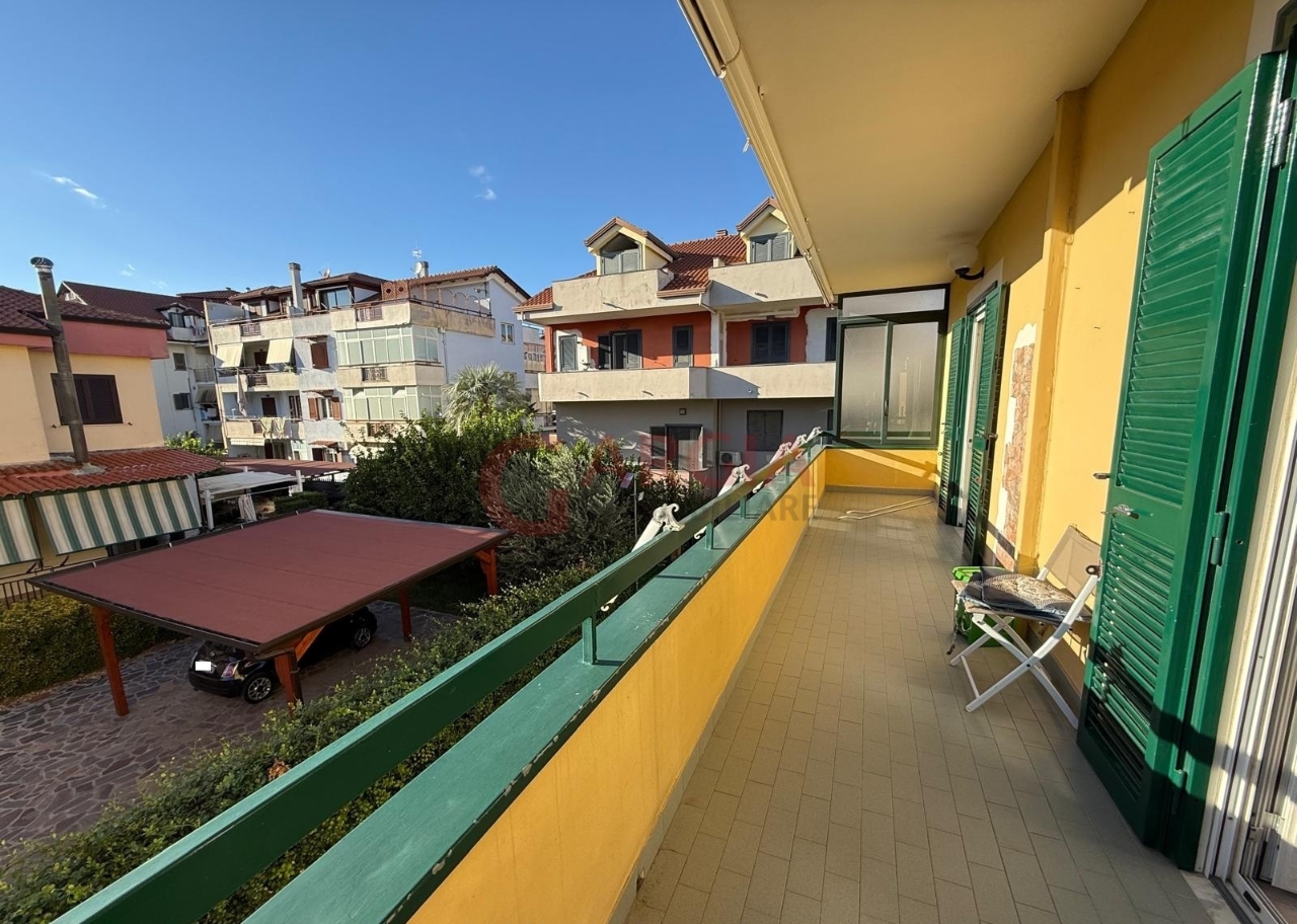 immagine annuncio 11 di 14