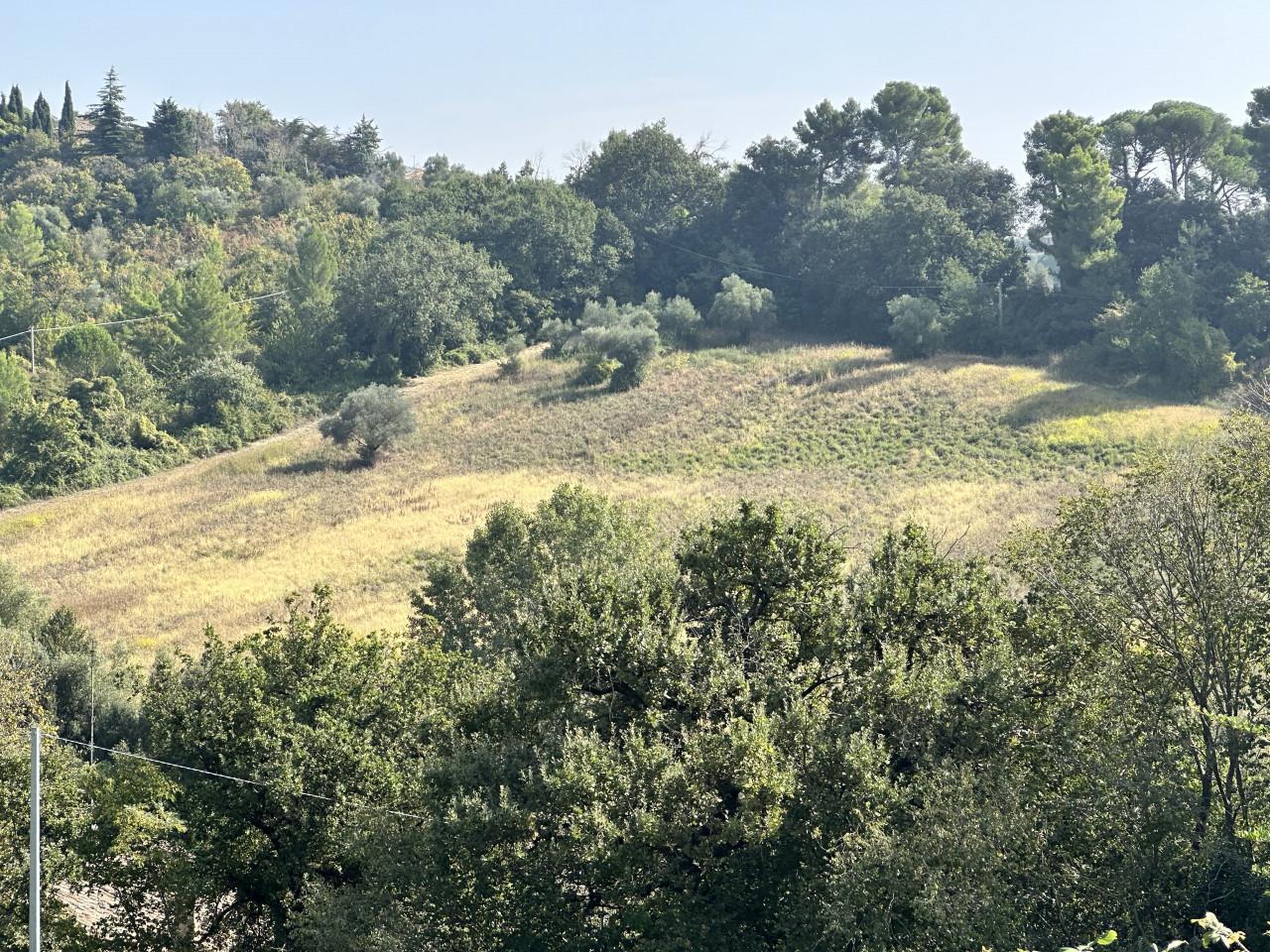 Terreno agricolo in vendita a Macerata