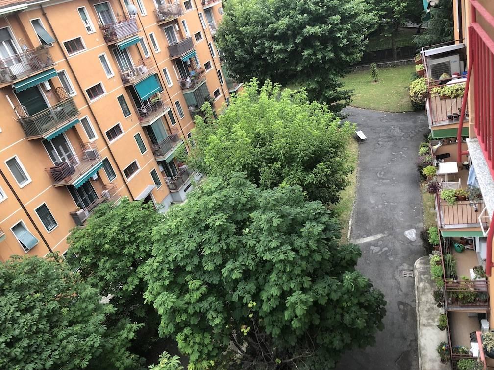 immagine annuncio 8 di 14