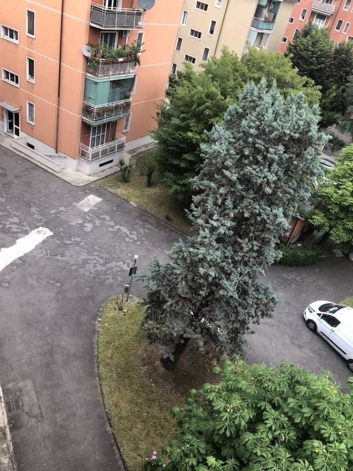 immagine annuncio 9 di 14