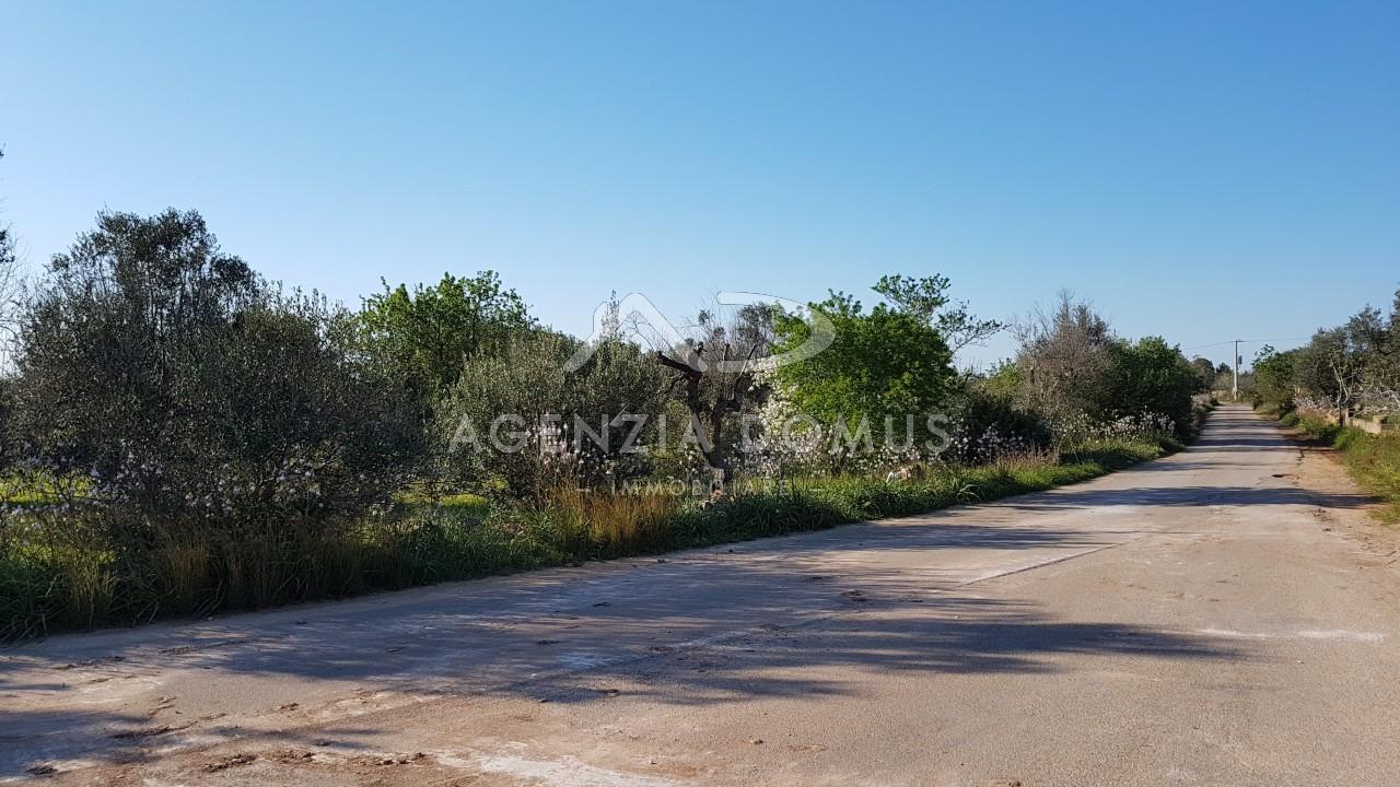 Terreno edificabile residenziale in vendita a Racale