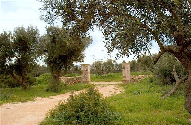 Terreno agricolo in vendita a Alliste